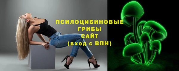 прущая мука Алзамай
