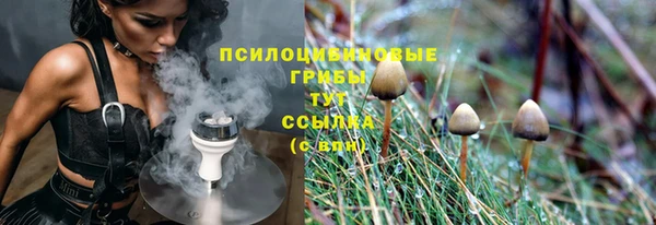 прущая мука Алзамай