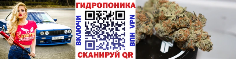 ОМГ ОМГ tor  Красноуфимск  Шишки марихуана гибрид  дарнет шоп 